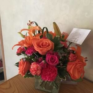 Meet your Posher, Alma